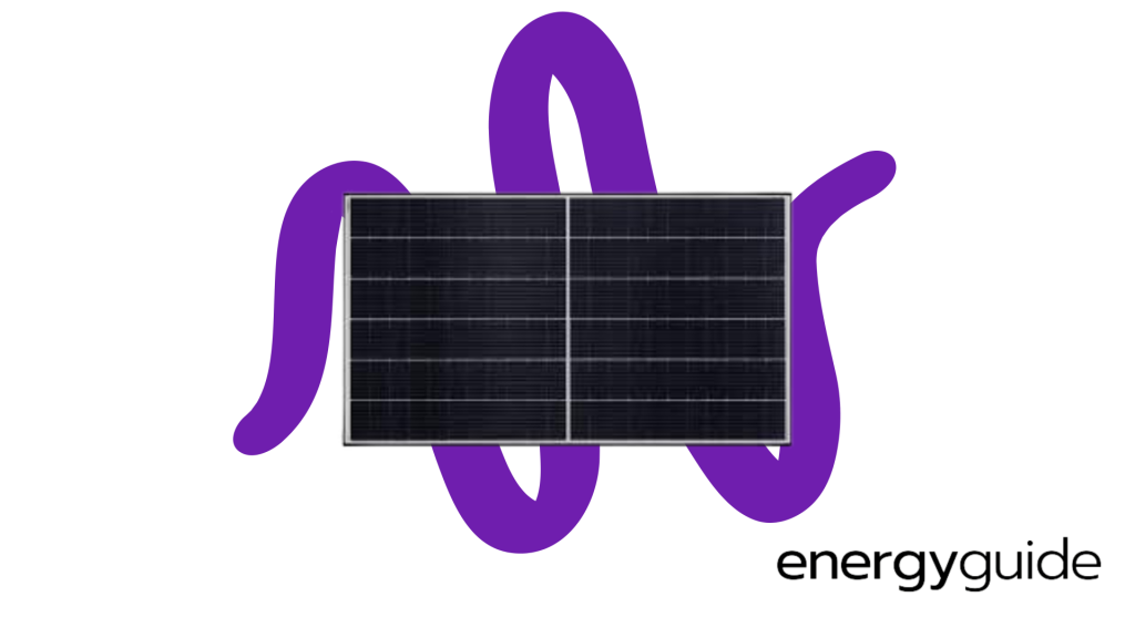 4-Q-Cells-Q.Peak-DUO-BLK-ML-G9-Fourth-Best-Solar-Panels-
