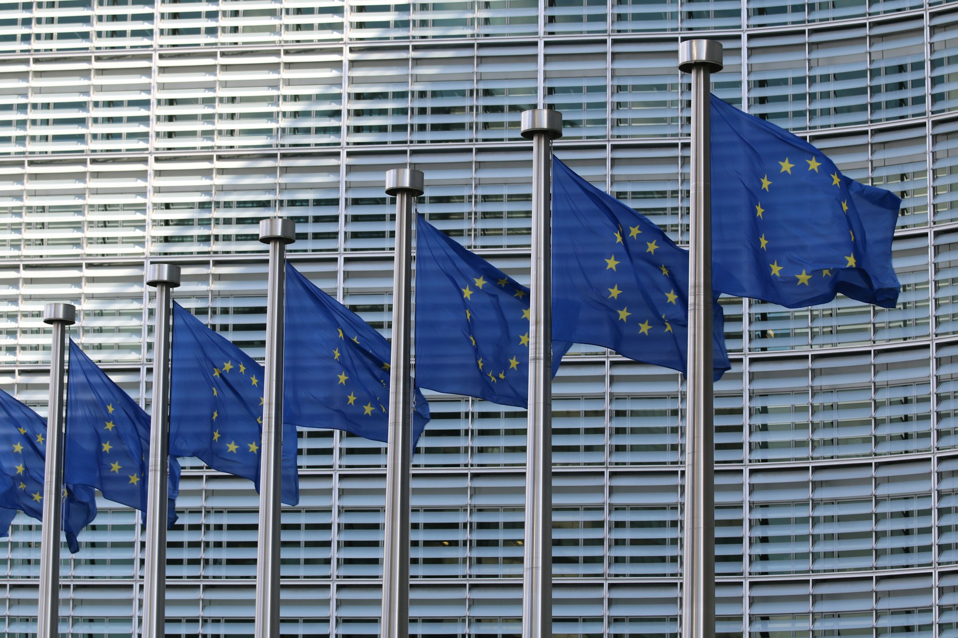 European Union flags on flag poles outside building in the day time.