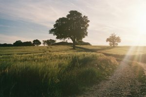 Understanding Energy Costs This Summer And Autumn Forecasts