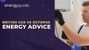 British Gas vs Octopus Energy